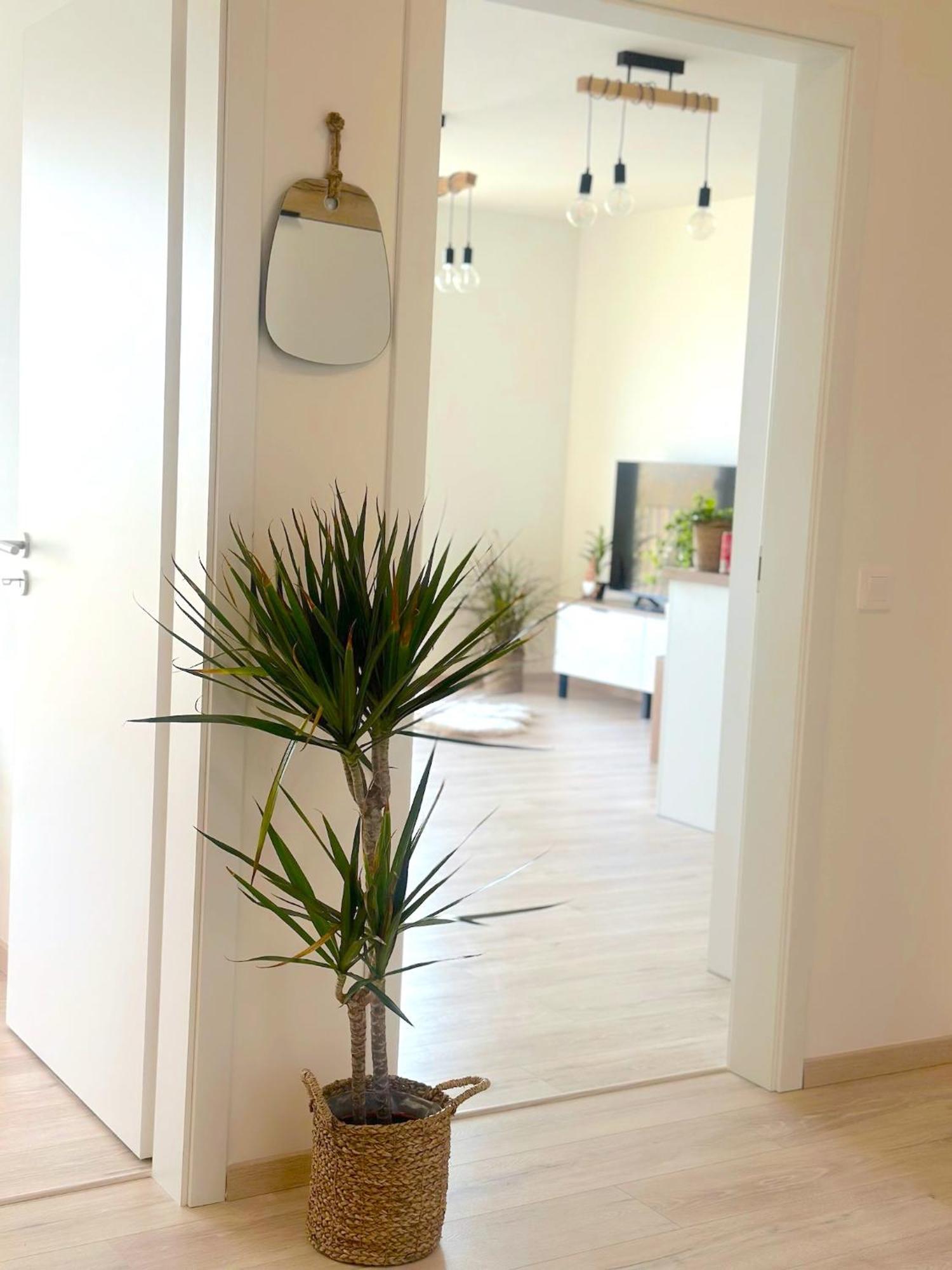 Apartment New In The With Parking Option *